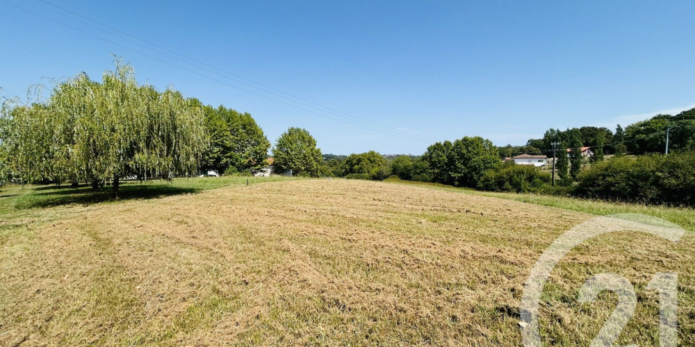 terrain à ST PIERRE D IRUBE (64990)